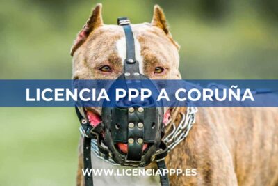 Licencia PPP en A Coruña