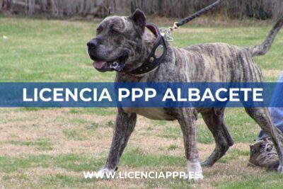 Licencia PPP en Albacete