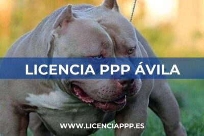 Licencia PPP en Ávila