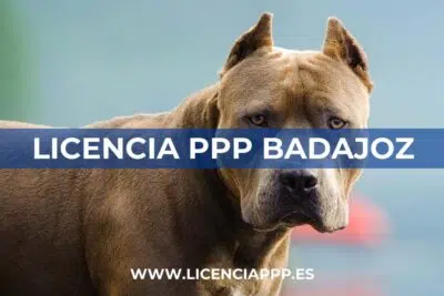 Licencia PPP en Badajoz