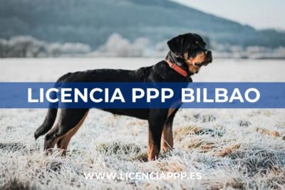 Licencia PPP en Bilbao