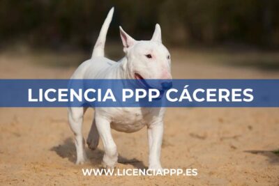 Licencia PPP en Cáceres