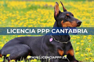 Licencia PPP en Cantabria