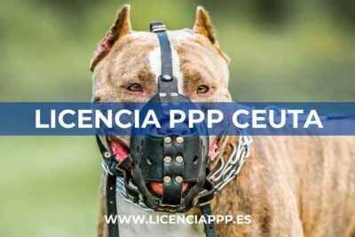 Licencia PPP en Ceuta