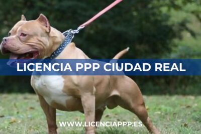 Licencia PPP en Ciudad Real