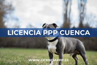 Licencia PPP en Cuenca