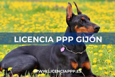 Licencia PPP en Gijón