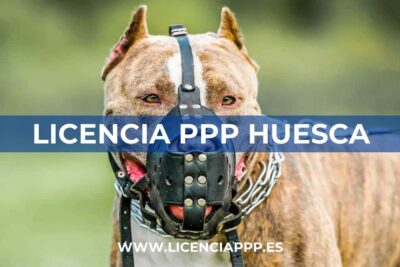 Licencia PPP en Huesca
