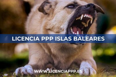 Licencia PPP en Islas Baleares