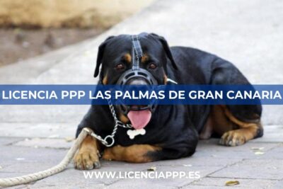 Licencia PPP en Las Palmas de Gran Canaria