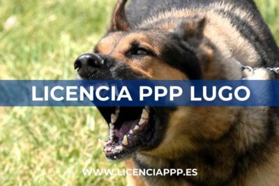 Licencia PPP en Lugo