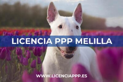 Licencia PPP en Melilla