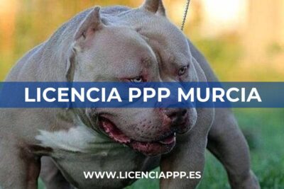 Licencia PPP en Murcia