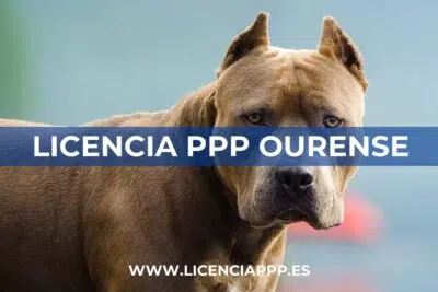 Licencia PPP en Ourense 1