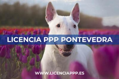 Licencia PPP en Pontevedra