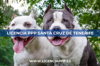 Licencia PPP en Santa Cruz de Tenerife