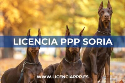 Licencia PPP en Soria