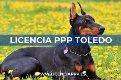 Licencia PPP en Toledo