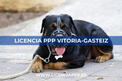 Licencia PPP en Vitoria-Gasteiz