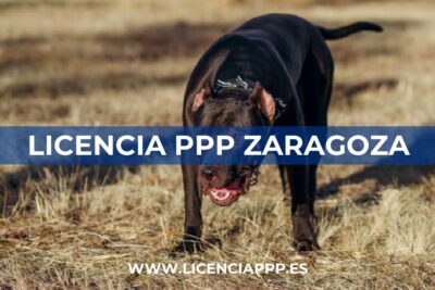 Licencia PPP en Zaragoza